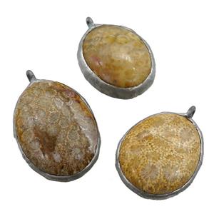 Coral Fossil pendant, mixed shape, mix color, platinum plated, approx 25-60mm