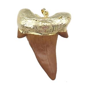 resin pendant, sharktooth, gold plated, approx 45-60