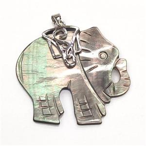 gray Abalone Shell elephant pendant, approx 34-37mm