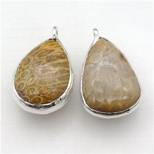 Coral Fossil teardrop pendant, silver plated, approx 30-50mm