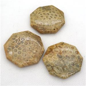 Coral Fossil octagon pendant, approx 45-50mm