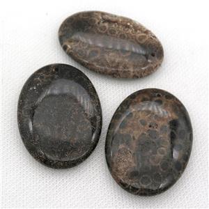 black Coral Fossil oval pendant, approx 35-50mm
