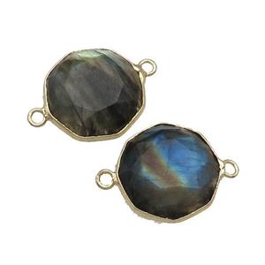 Labradorite Connector Polygon Gold Plated, approx 16mm