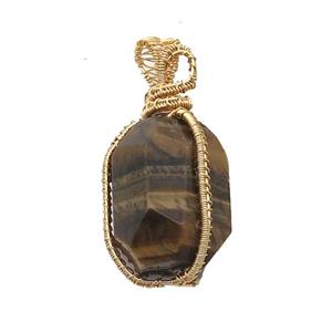 Tiger Eye Stone Pendant Freeform Wire Wrapped, approx 20-35mm