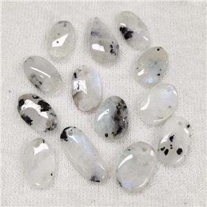 White Moonstone Pendant Mixed Shape, approx 14-28mm
