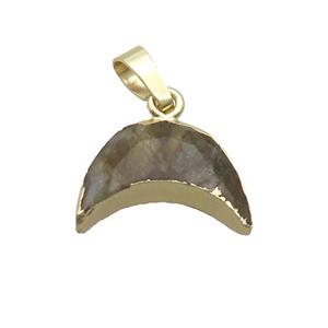 Natural Labradorite Moon Pendant Gold Plated, approx 13-18mm
