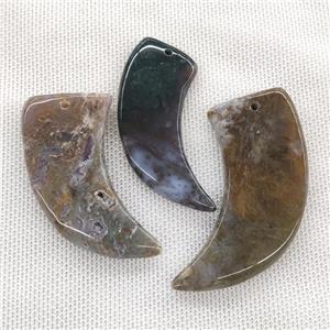 Natural Indian Agate Horn Pendant, approx 20-55mm