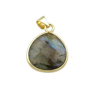 Natural Labradorite Teardrop Pendant Gold Plated, approx 15mm