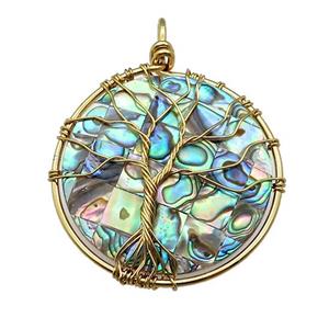 Abalone Shell Circle Pendant Tree Of Life Copper Wire Wrapped Gold Plated, approx 45mm