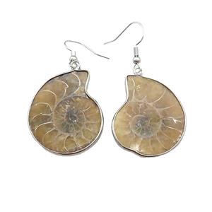Natural Ammonite Fossil Hook Earrings, approx 25-30mm