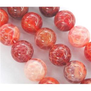 round Fire Ruby Agate beads, grade A, 6mm dia, approx 65pcs per st