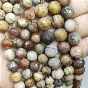 wooden Petrified Jasper Beads, faceted round, approx 10mm dia
