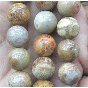 Natural Coral Fossil Beads Smooth Round, approx 4mm dia