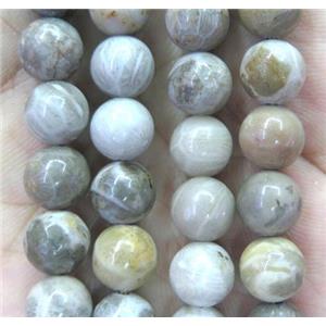 round coral fossil beads, approx 6mm dia