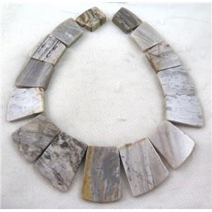Silver Leaf Jasper necklace, freeform, approx 20-40mm
