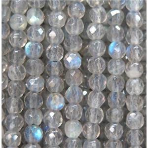 tiny Labradorite beads, faceted round, approx 3mm dia
