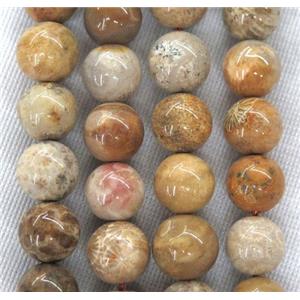 round coral fossil beads, approx 14mm dia