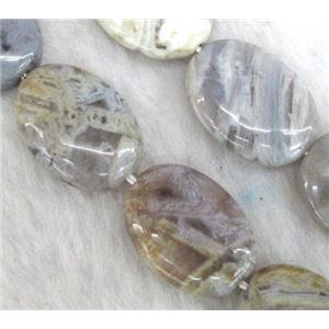 gray Bamboo Agate beads, oval, approx 25x35mm, 15.5 inches