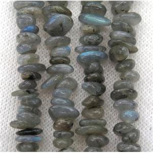 Labradorite chip beads, approx 6-10mm