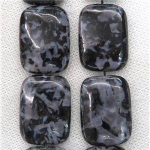 Black Feldspar Beads Rectangle, approx 22x30mm