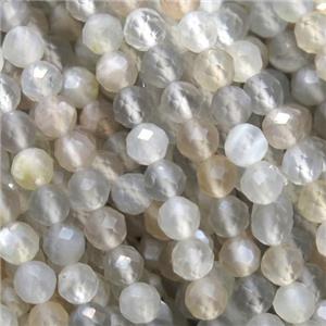 natural Gray MoonStone beads, faceted round, approx 3mm dia