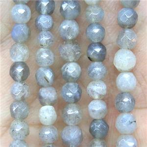 tiny Labradorite beads, faceted round, approx 4mm dia