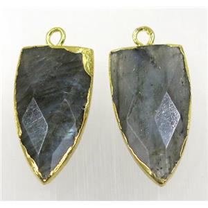labradorite pendant, faceted arrowhead, gold plated, approx 15-30mm