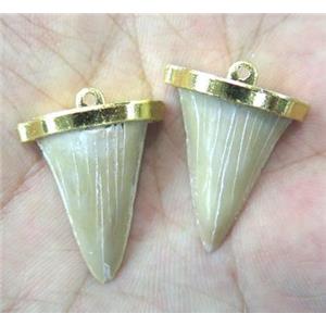 fossil of shark-tooth pendant, gold plated, approx 15-20mm