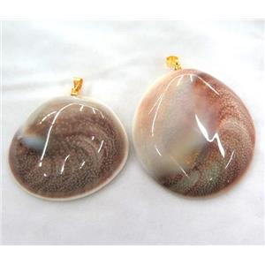 shell pendant, freeform, approx 15-40mm