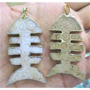 Coral Fossil pendant, fishbone, gold plated, approx 25-60mm
