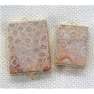 coral fossil connector, rectangle, gold plated, approx 20-40mm