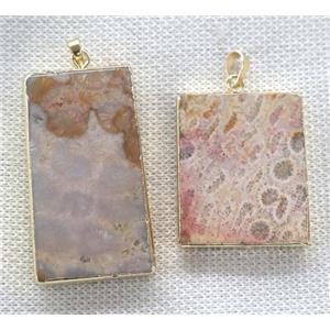 coral fossil pendant, rectangle, gold plated, approx 20-55mm