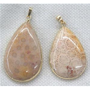coral fossil pendant, teardrop, gold plated, approx 20-60mm