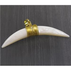 white pearl shell horn pendant, gold wire wrapped, approx 10-60mm