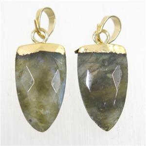 Labradorite pendants, faceted arrowhead, gold plated, approx 10-18mm