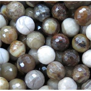 American Petrified Wood Agate beads, faceted round, approx 8mm dia