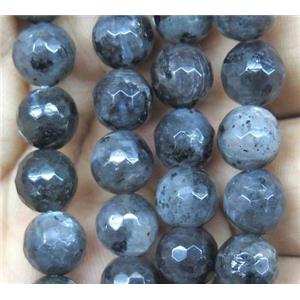Black Labradorite Beads Faceted Round Larvikite, approx 10mm dia