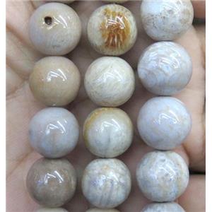 coral fossil jasper bead, round, approx 6mm dia