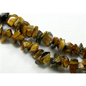 Tiger Eye Stone Chip Beads, 3-8mm