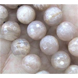 MoonStone Bead, faceted round, 10mm dia, approx 38pcs per st