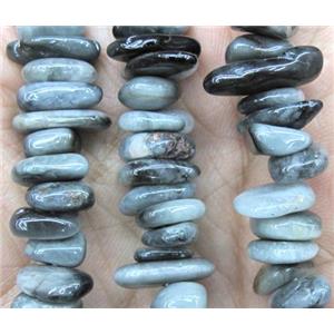 hawk eye stone beads chip, freeform, approx 8-15mm, 15.5 inches