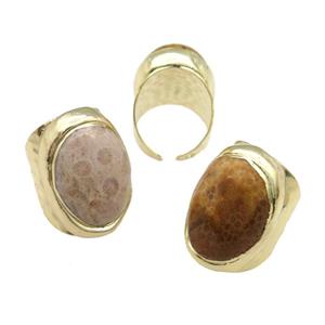 Copper Ring With Coral Fossil Gold Plated, approx 18-23mm, 20-30mm, 18mm dia