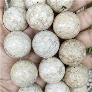 Natural River Fossil Beads Smooth Round, approx 30mm