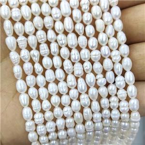 Natural White Freshwater Pearl Beads Rice C-Grade, approx 6-7mm, 48beads per st