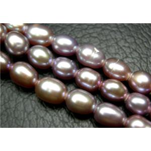15 inches string of freshwater pearl beads, rice-shape, purple, approx 4-5mm, 72beads per st