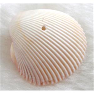 shell Conch bead, approx 23-35mm dia, 180pcs