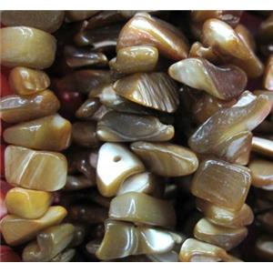 Fresh water shell bead, freeform, approx 5-13mm