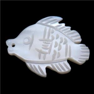 white shell fish pendant, approx 18-22mm