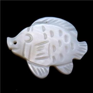 white shell fish pendant, approx 20-26mm
