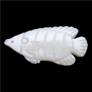 white shell fish pendant, approx 15-30mm